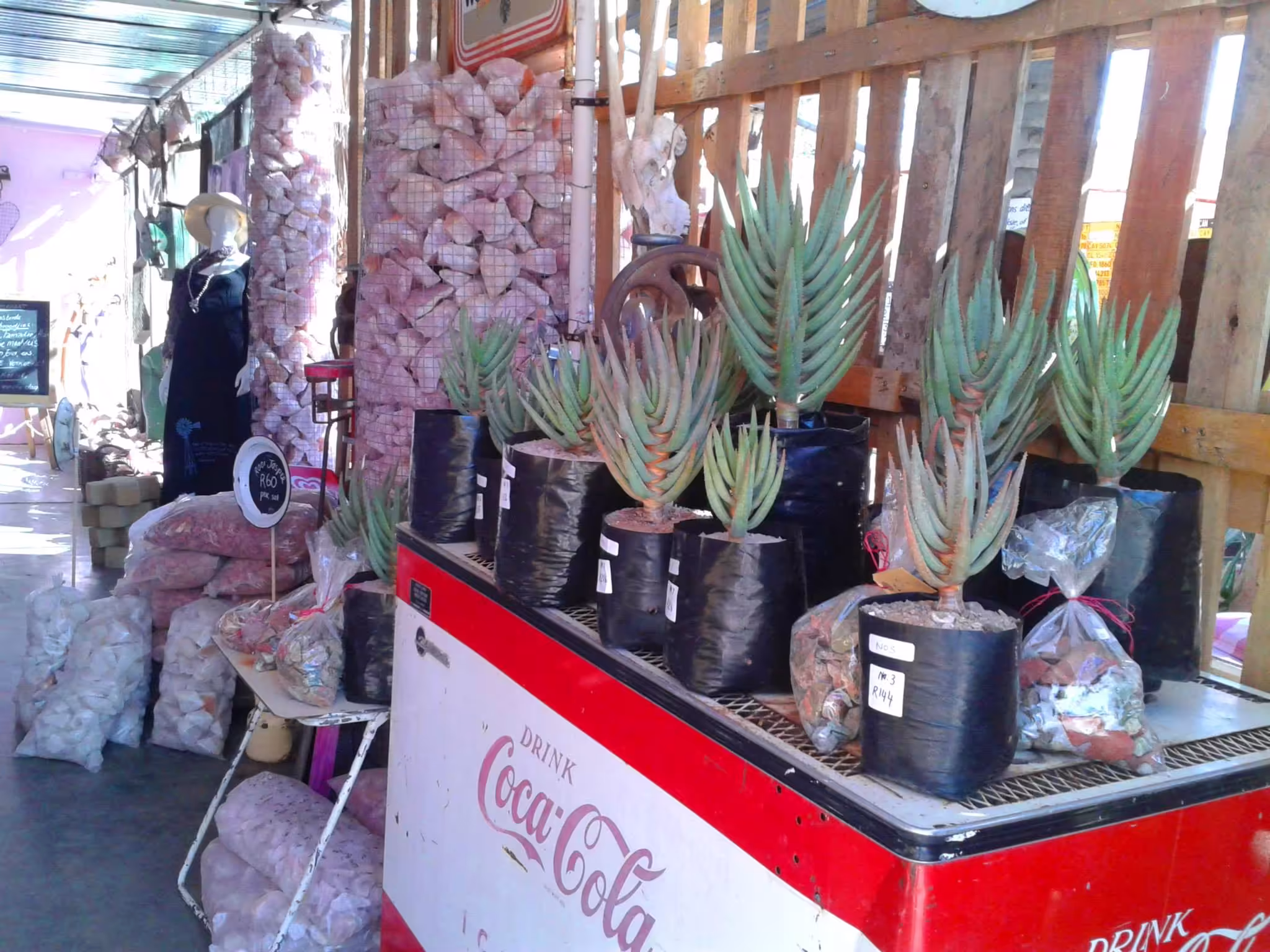 Farmstall in Kakamas - Die Pienk Padstal